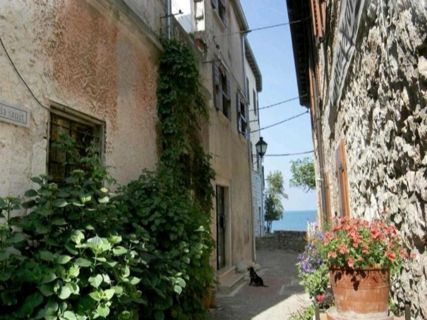 Apartment Martin - 10 Mt To The Beach Rovinj Exterior foto